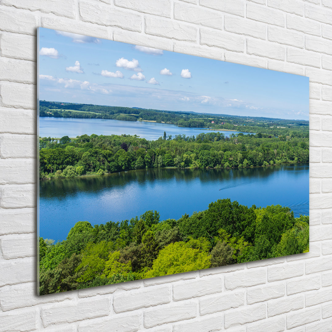 Glasbild Forest By The Lake