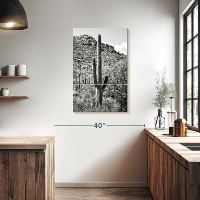 Harnek - Arizona noir - Cactus Hill I, H 32 po x l 20 po