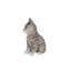 HEAD-TILTING TABBY KITTEN SITTING-50844502