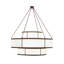 Jayne 20 - Light Chandelier