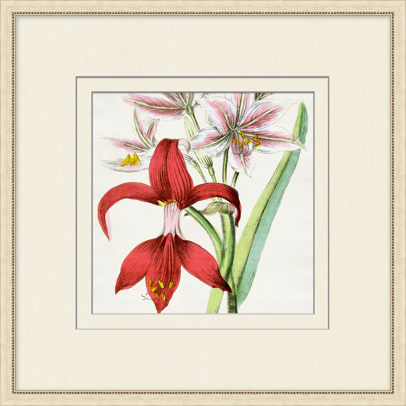Radiant Blossoms 3 Print