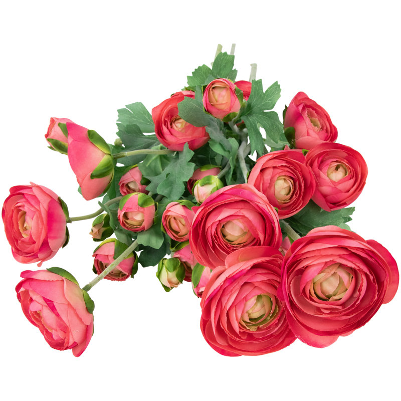 Ranunculus Arrangement