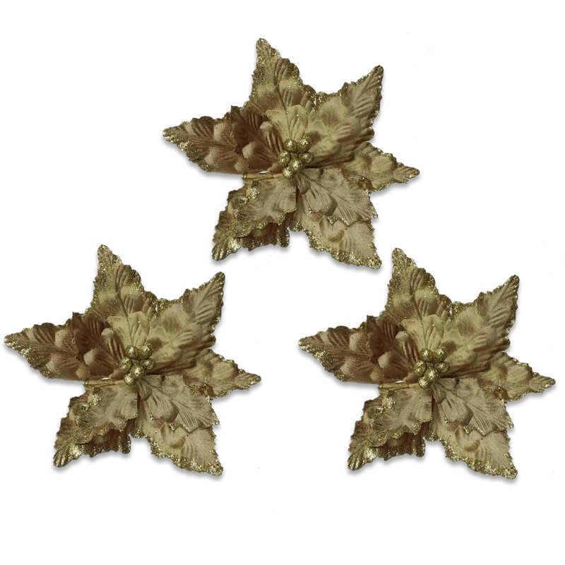 Poinsettia 11 ", Or