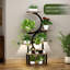 8-tier Indoor Plant Stand With 5 Grow Lights, 10-level Stepless Dimming & 3 Timer Modes, Metal Frame With 9 Dense Wood Shelves For Living Room, Garden, Patio