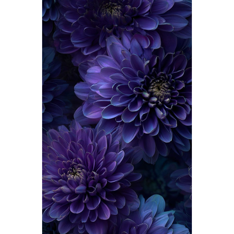 Papier peint floral mauve élégant