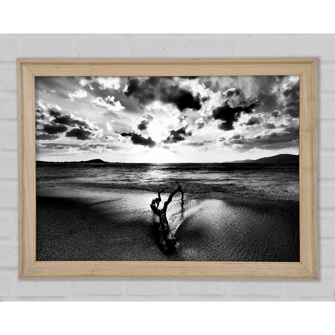 Gerahmtes Leinwandbild Driftwood B N W