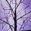Arbre effrayant 3 lumières d'Halloween avec lumières mauves, 4 pi 5 pi et 6 pi, arbre noir éclairé pour la décoration d'Halloween