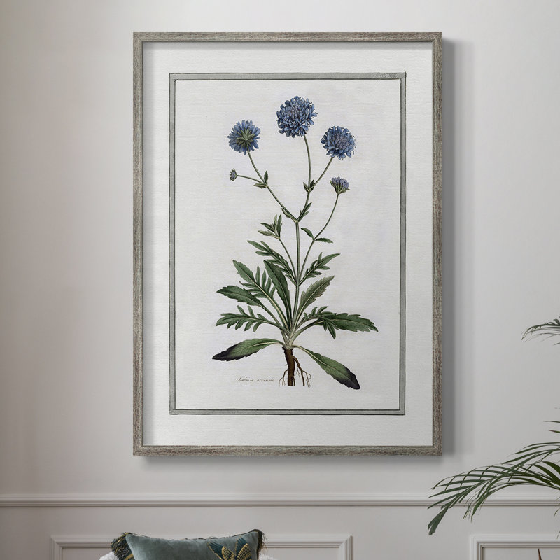 «Soft Botanical II», reproduction encadrée - bois massif 47461, H 11 po x l 9 po