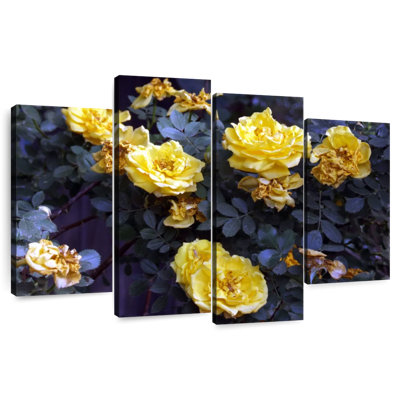 Harnek Yellow Roses Bush