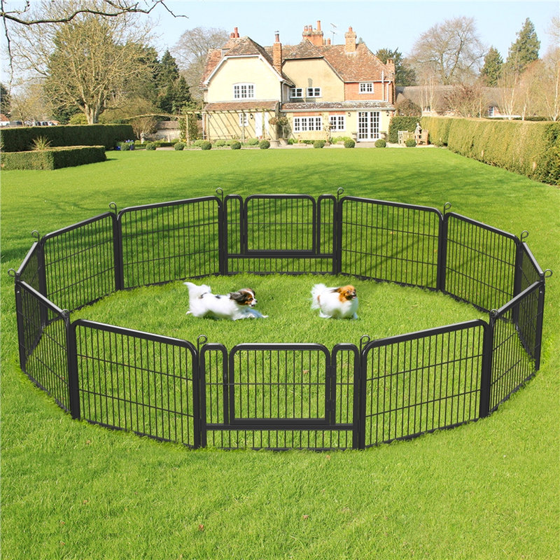 Enclos pour chien robuste en métal, H 24 po x l 24 po x P 0,6 po