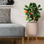 Plaited Style Cylinder Round Planter with Feet-2146352483-2146352486