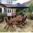 Rowlinson Bali Dining Set