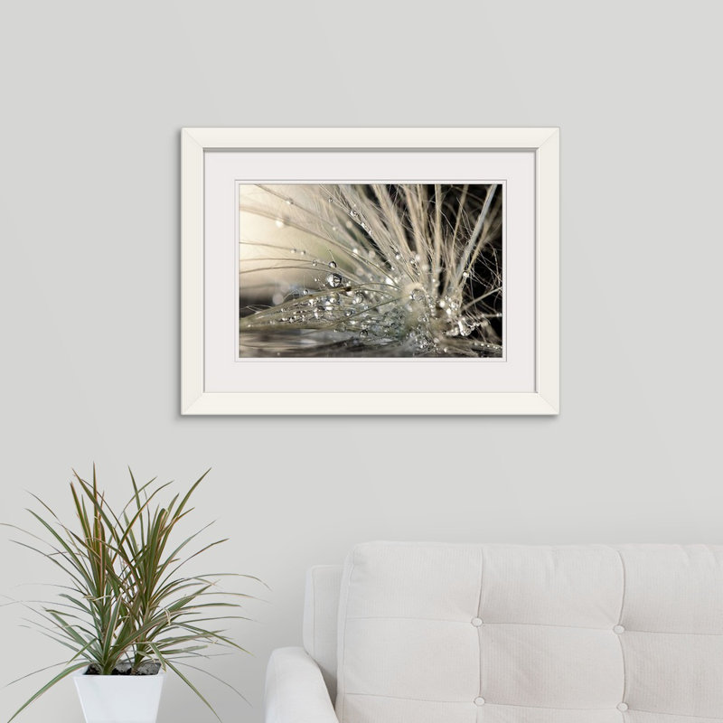 Straub " Pearls " by Maryam Zahirimehr, Framed Print, 20" H x 26" W, White