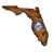 Rays de Tampa Bay