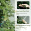 Artificial Norfolk Pine Christmas Tree With Natural Look-1793268314
