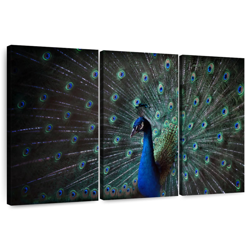 Brampt Noble Blue Peacock, 28" H x 45" W