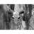 Xavier Bone-Inspired Bull Head Hanging Ornament in Resin Craft-1142107185