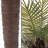 Robellini Palm Artificial Tree - 78-inch Potted Faux Plant for Office or Home Decor - Realistic Greenery for Indoor or Outdoor Use