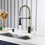 Blue Elephant Pull Down Kitchen Faucet-1325887830