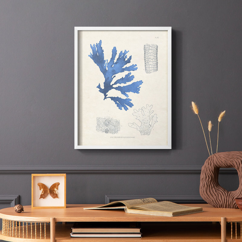 «Blue Marine Algae», reproduction encadrée en bois massif, Cadre simple blanc, H 28 po x l 22 po