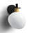 Anderle 1 Light Black & Aged Brass Wall Mount
