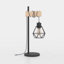 Jolyn Novelty Lamp