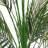 150cm Faux Palm Tree in Pot