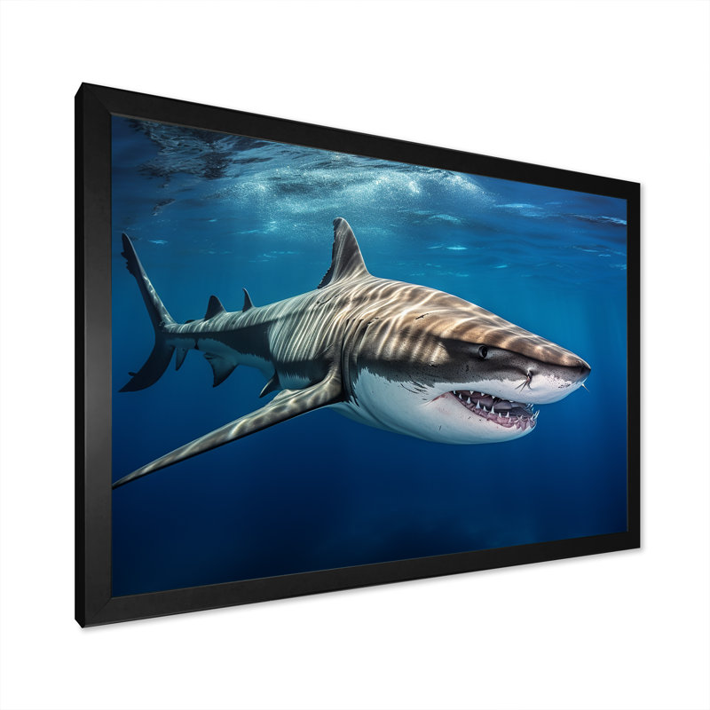 «Tiger Shark Territory I» sur toile, H 34 po x l 44 po x P 1,5 po, Cadre simple noir