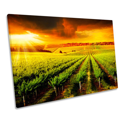 Vineyard Sunset Landscape - Wrapped Canvas Print