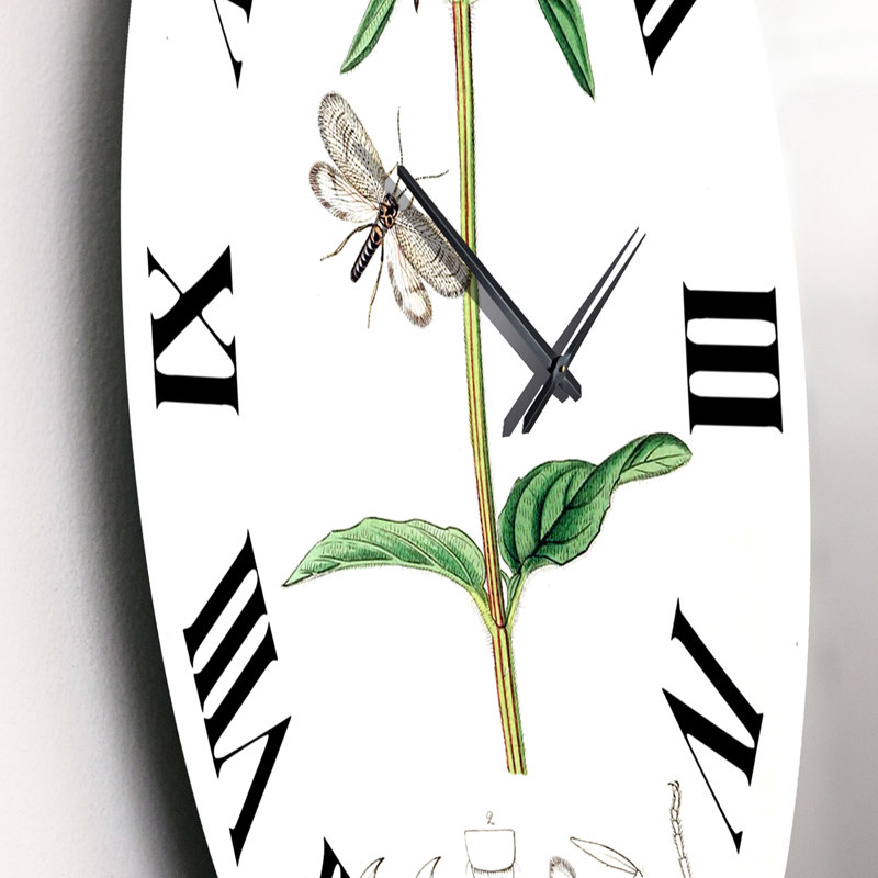 Vintage Insectes and Plants II - horloge murale maison de campagne, Petit