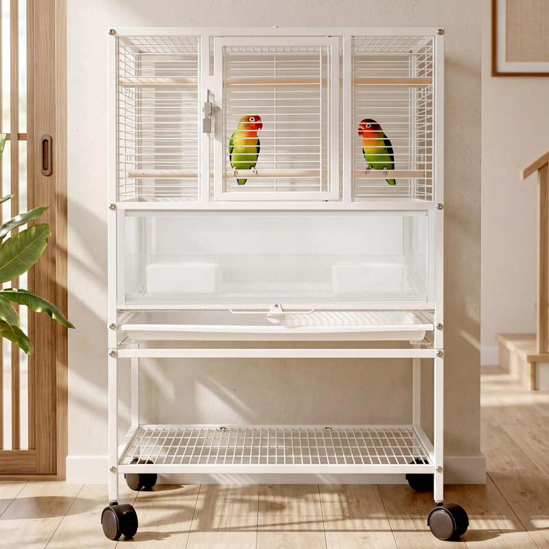 Petite cage à oiseaux, porte-oiseaux H 32 po avec tablettes de rangement, cage à oiseaux blanche pour perroquet, porte-perroquet en acrylique pour petit oiseau moyen