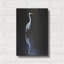  «Elegant Egret 2» par David Drost, art mural en métal, 12 po x 16 po-1439209699