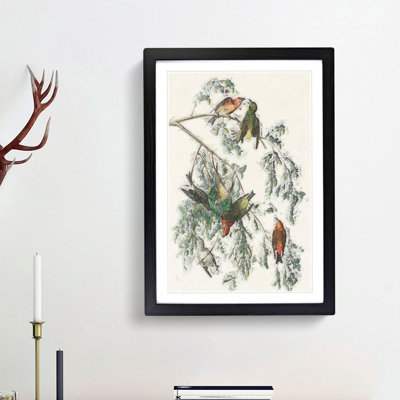 American Crossbill Birds by John Audubon - Single Picture Frame Painting