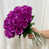 Mauve est en rupture de stock