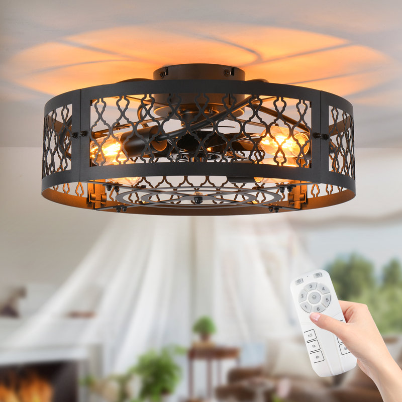 Otylia 19.7'' Farmhouse Reversible Caged Ceiling Fan with Light Kit and Remote, Matte Black