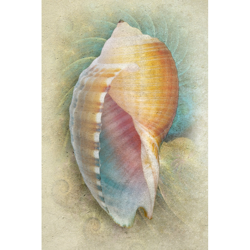 Aquatica III by Steve Hunziker - Wrapped Canvas Painting, 30cm H x 20cm W x 3.8cm D