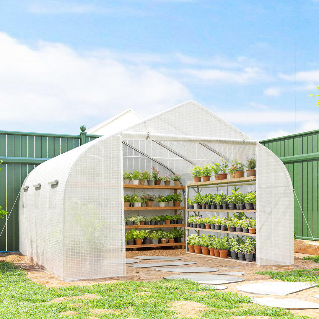 Aaliegha 10 Ft W x 15 Ft D Mini Greenhouse