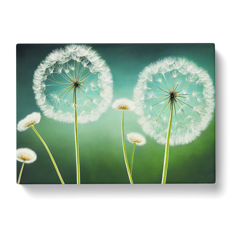 Dreamlike Dandelion Flowers - Wrapped Canvas, 40cm H x 60cm W