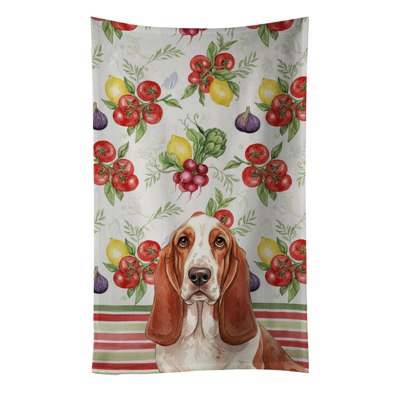 Torchon rouge et blanc Basset Hound, Red/White Basset Hound
