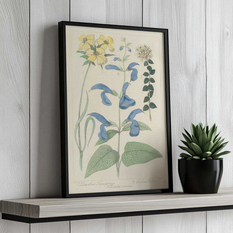 Salvia Florals II, reproduction d'art, H 18 po x l 12 po, Doré