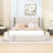 Hartaj Queen 1 Drawer Upholstered Platform Bed with Headboard-2018450164