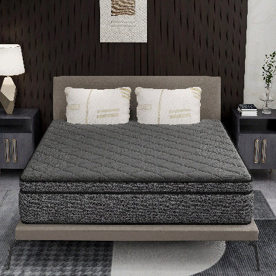 12/14 Inch Mattress High Density Hybrid Foam Layer Pocketed Springs by Alwyn Home
