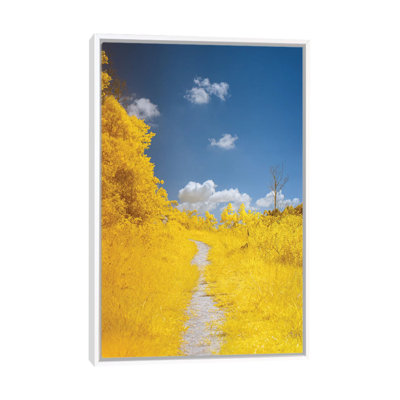The Path by Glauco Meneghelli - Floater Frame Print on Canvas