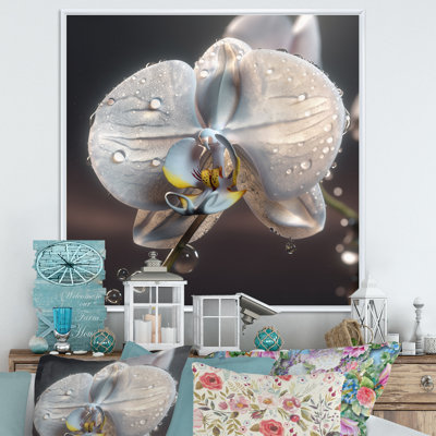 «Morning Dew» sur une orchidée blanche sur toile