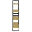Idelson Ladder