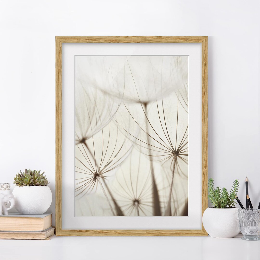 Gerahmtes Poster Soft Grasses