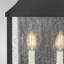 Trevett Matte Black 43.9cm H Clear Glass Outdoor Wall Lantern
