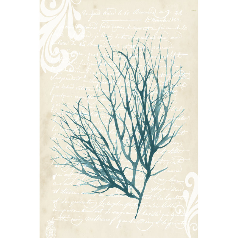 Teal Seaweed IV - Wrapped Canvas Art Prints, 46cm H x 30cm W