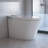 1.34 GPF Smart Bidet Toilet With Nano Bubble Wash, Quiet-Closed Heated Sensor Auto, Auto Open/Close, Foot Sensor Flush, Warm Wash(Remote Included), Rapid Drying