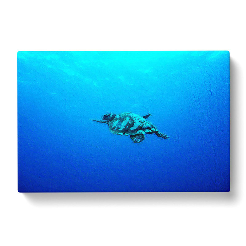 Swimming Turtle - Wrapped Canvas, 50cm H x 76cm W x 3cm D